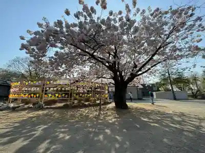 岩内神社(北海道)