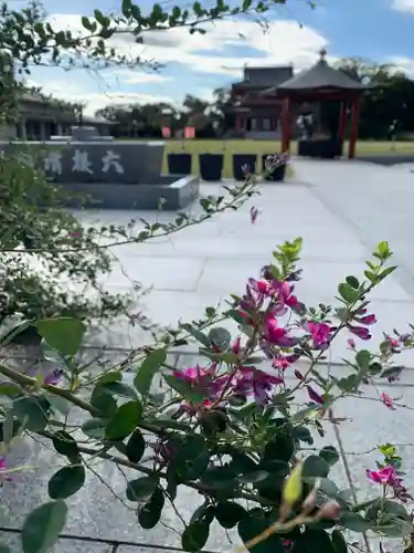 潮音寺(茨城県)