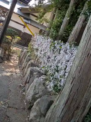 白蛇辨財天(栃木県)