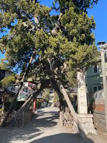 荏柄天神社(神奈川県)