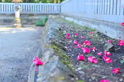 酒列磯前神社(茨城県)