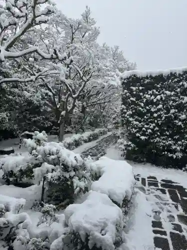 大光院の{uncategorized: "未分類", other: "その他", undefined: "問題あり", building: "その他建物", grave: "お墓", sacred_gate: "鳥居", guardian: "狛犬", statue: "像", buddha: "仏像", history: "歴史", nature: "自然", garden: "庭園", animal: "動物", pagoda: "塔", temizu: "手水舎", mountain_gate: "山門・神門", sanctuary: "本殿・本堂", subordinate: "末社・摂社", art: "芸術", scenery: "景色", jizo: "地蔵", ema: "絵馬", goshuin: "御朱印", omikuji: "おみくじ", items: "授与品その他", amulet: "お守り", goshuincho: "御朱印帳", eats: "食事", festival: "お祭り", votive_dance: "神楽", shichigosan: "七五三参", wedding: "結婚式", experience: "体験その他", initially: "初詣", around: "周辺", anti_infection: "感染症対策"}