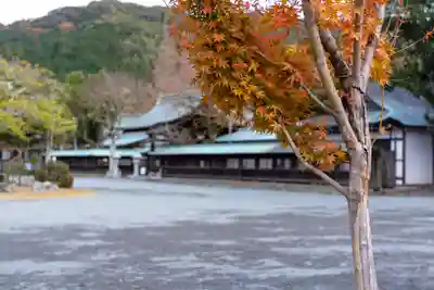 宗像大社(福岡県)