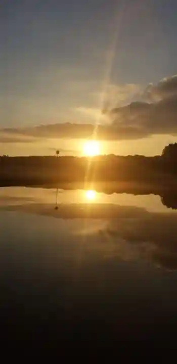 熊野神社の景色