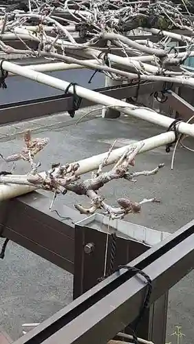 西方山極楽寺の自然