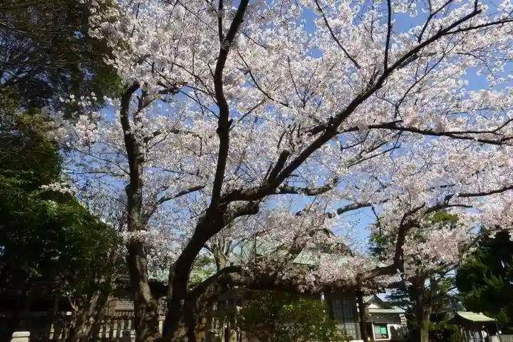 大歳神社(山口県)