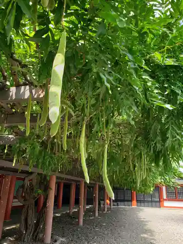 日枝神社(東京都)