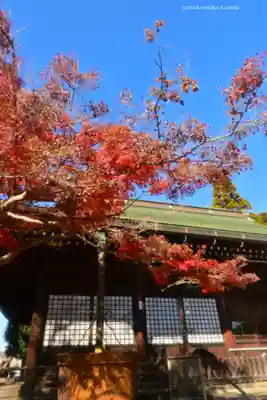 本土寺(千葉県)