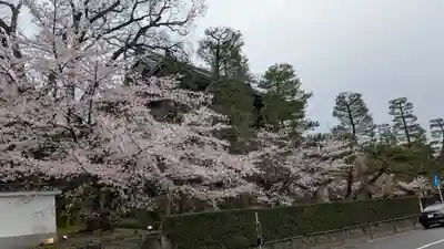 知恩院(京都府)