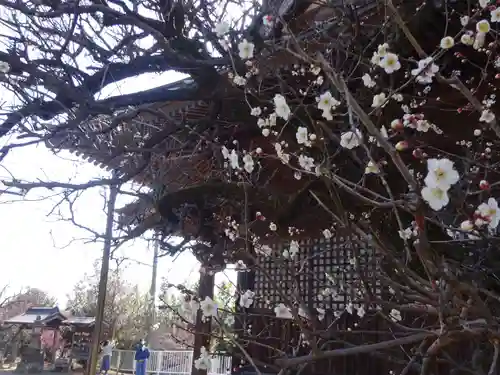 天満宮の本殿・本堂