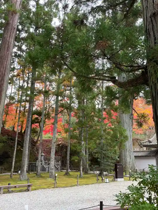 瑞巌寺(宮城県)