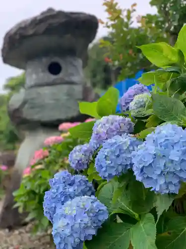 摩訶耶寺のその他建物