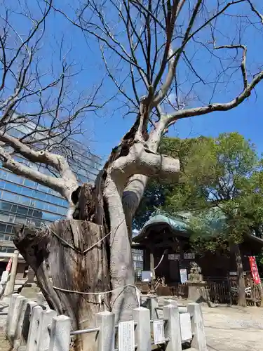 阿邪訶根神社の庭園