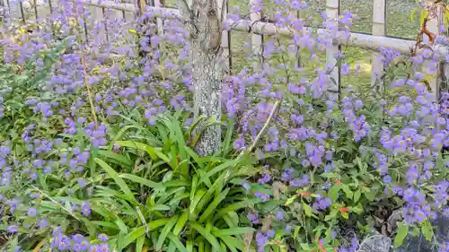 勧修寺(京都府)