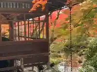 宝厳院(京都府)