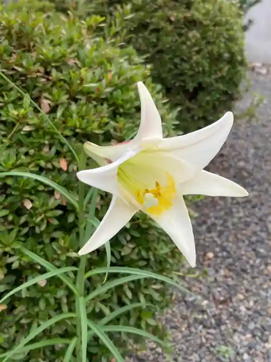 大鏑神社(福島県)
