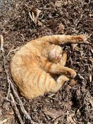 小松寺(千葉県)
