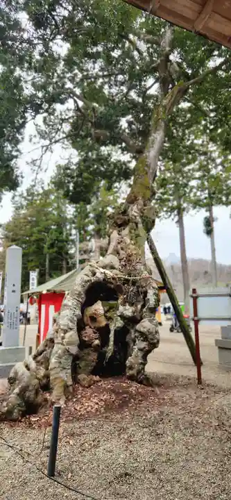 賀茂神社の周辺