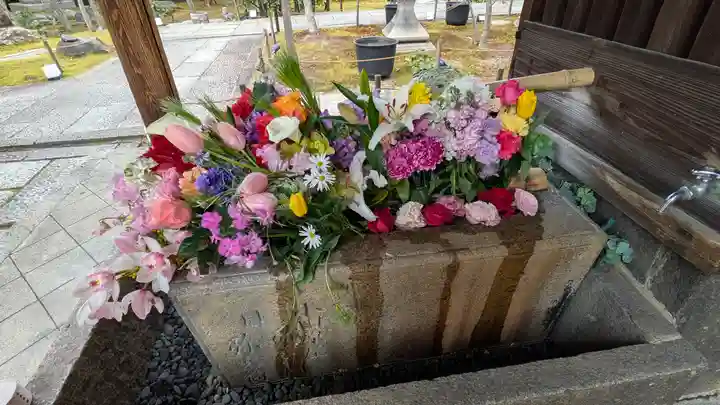 勝林寺(京都府)