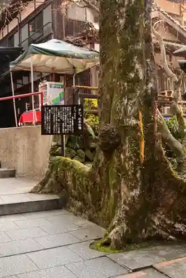 龍蔵寺(山口県)