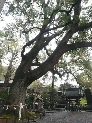 事任八幡宮の建物その他