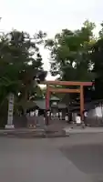 旭川神社の鳥居