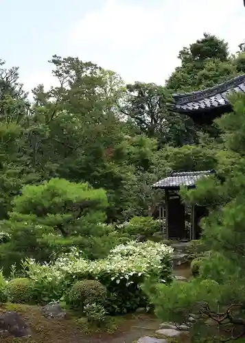 両足院(京都府)
