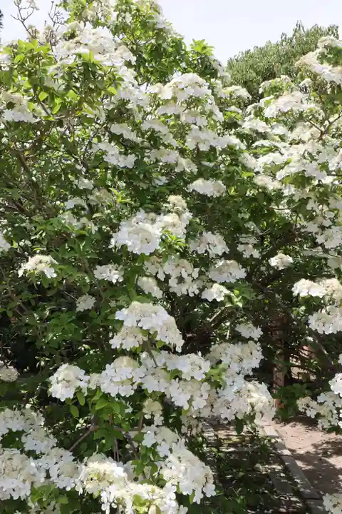 唐招提寺(奈良県)