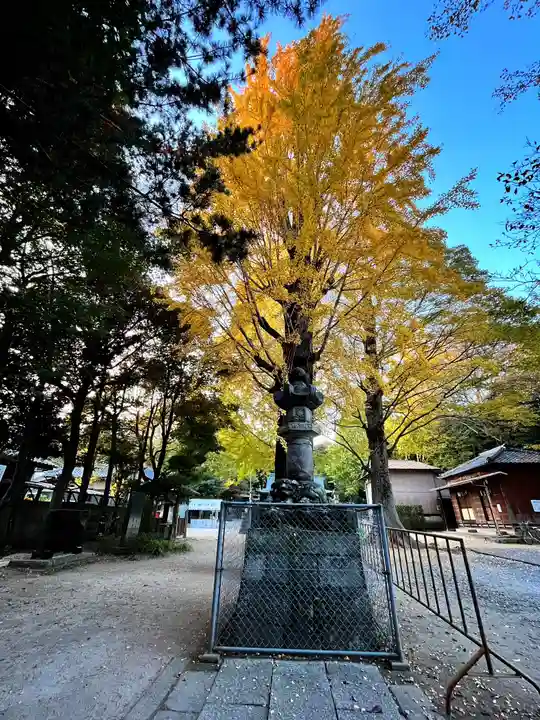 春日部八幡神社(埼玉県)