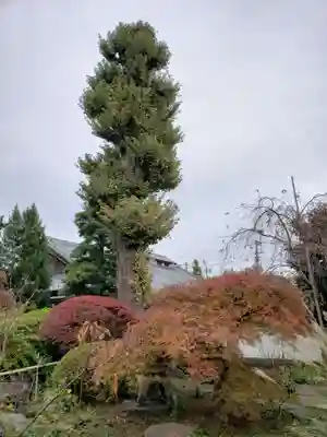 正覚院(東京都)