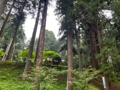 大宮温泉神社のその他建物