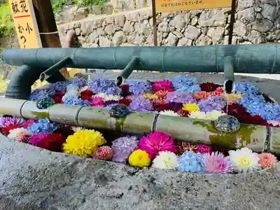 岡寺(龍蓋寺)(奈良県)