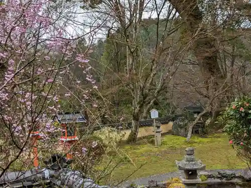 十輪寺(京都府)