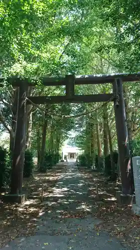 土屋稲荷神社の鳥居