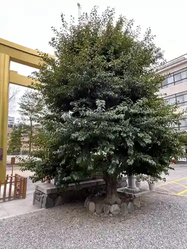 金神社(岐阜県)