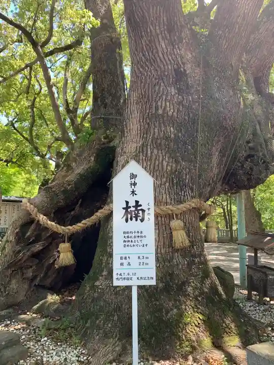 大麻比古神社(徳島県)
