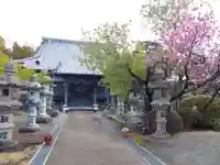 蓮華寺(静岡県)