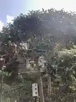 佛日庵(神奈川県)