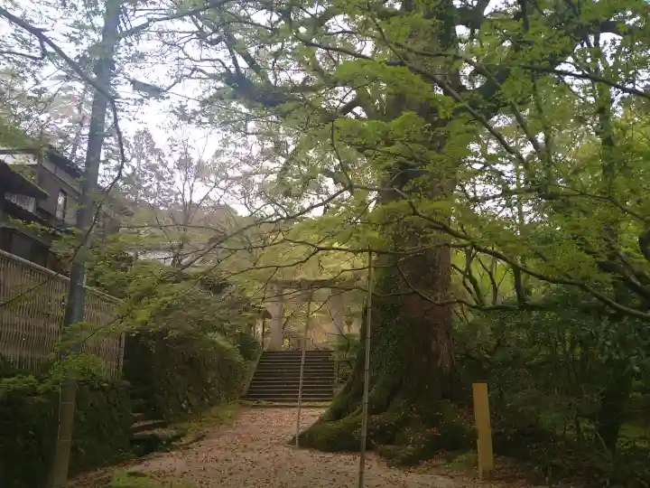 仁比山神社の{uncategorized: "未分類", other: "その他", undefined: "問題あり", building: "その他建物", grave: "お墓", sacred_gate: "鳥居", guardian: "狛犬", statue: "像", buddha: "仏像", history: "歴史", nature: "自然", garden: "庭園", animal: "動物", pagoda: "塔", temizu: "手水舎", mountain_gate: "山門・神門", sanctuary: "本殿・本堂", subordinate: "末社・摂社", art: "芸術", scenery: "景色", jizo: "地蔵", ema: "絵馬", goshuin: "御朱印", omikuji: "おみくじ", items: "授与品その他", amulet: "お守り", goshuincho: "御朱印帳", eats: "食事", festival: "お祭り", votive_dance: "神楽", shichigosan: "七五三参", wedding: "結婚式", experience: "体験その他", initially: "初詣", around: "周辺", anti_infection: "感染症対策"}