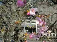 天鷹神社(岐阜県)