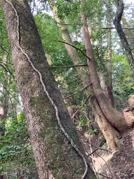 圓教寺(兵庫県)