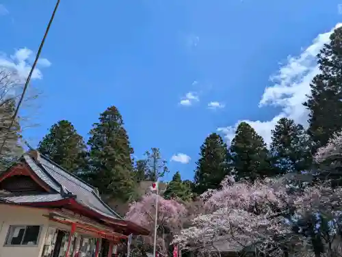 正一位 若草稲荷神社の{uncategorized: "未分類", other: "その他", undefined: "問題あり", building: "その他建物", grave: "お墓", sacred_gate: "鳥居", guardian: "狛犬", statue: "像", buddha: "仏像", history: "歴史", nature: "自然", garden: "庭園", animal: "動物", pagoda: "塔", temizu: "手水舎", mountain_gate: "山門・神門", sanctuary: "本殿・本堂", subordinate: "末社・摂社", art: "芸術", scenery: "景色", jizo: "地蔵", ema: "絵馬", goshuin: "御朱印", omikuji: "おみくじ", items: "授与品その他", amulet: "お守り", goshuincho: "御朱印帳", eats: "食事", festival: "お祭り", votive_dance: "神楽", shichigosan: "七五三参", wedding: "結婚式", experience: "体験その他", initially: "初詣", around: "周辺", anti_infection: "感染症対策"}
