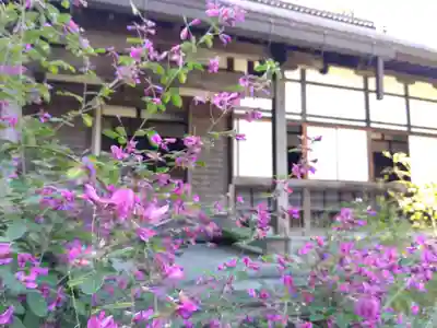 瑞源寺(福井県)