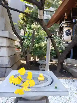 高円寺氷川神社(東京都)