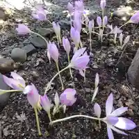 七重浜海津見神社(北海道)