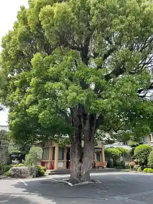 長安寺(神奈川県)