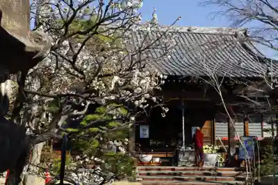 法輪寺(東京都)