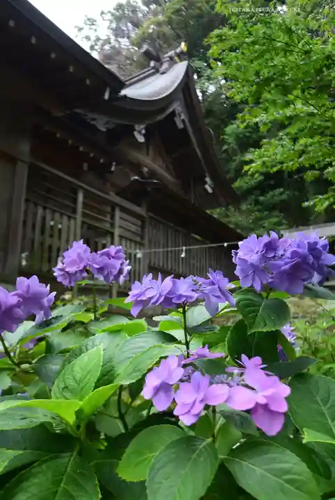 瀬戸神社(神奈川県)