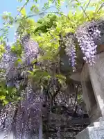 市杵島姫神社(三重県)