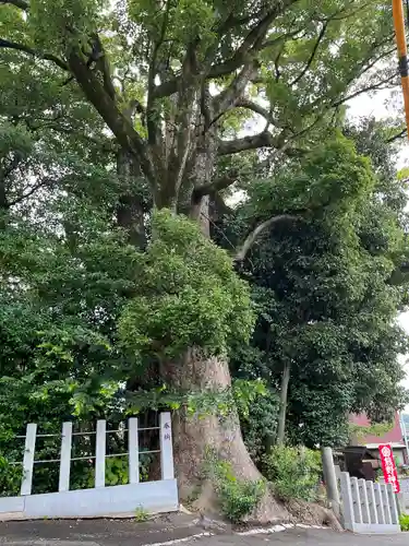 東海市熊野神社(愛知県)